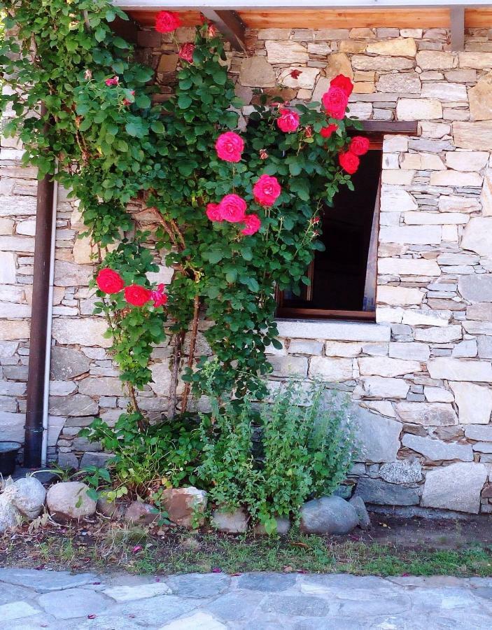 Casa Cicala Villa Trarego Bagian luar foto